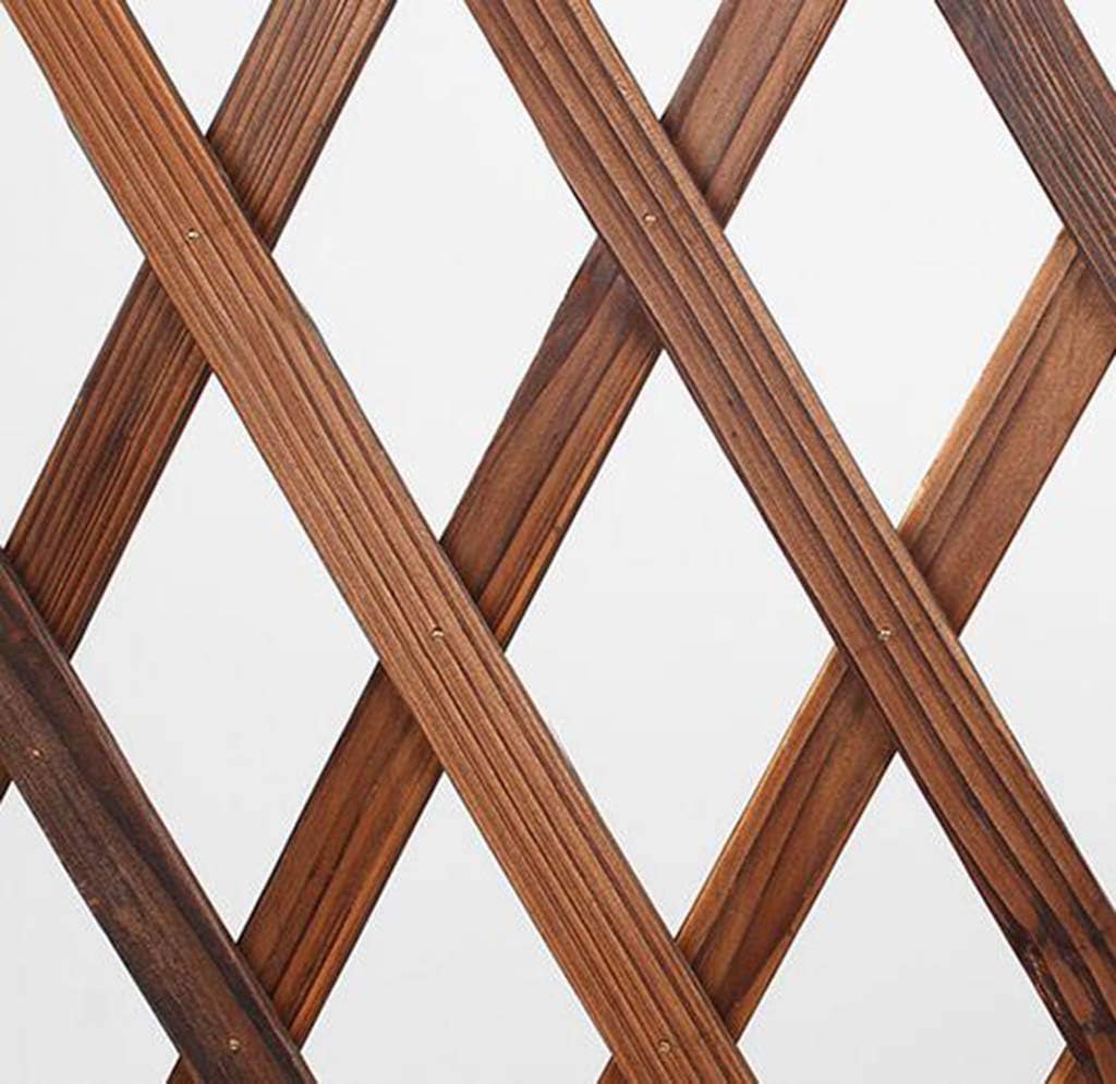 Mampara celosia |【2020】🥉 Las mejores mamparas de ducha