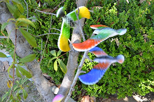 Balancing Bird Toy 6.5 Inch Wing Span-Colors May Vary By C&H Solutions