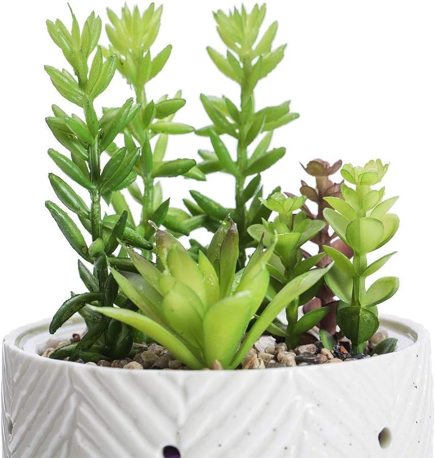 Essential Oil Diffuser, Artificial Succulent Plants Potted Diffusers for Essential Oils with 7 Colors LED Light,Ceramic Cool Mist Super Quiet Aromatherapy Diffuser for Home Office Bedroom: Kitchen & Dining