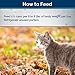 Blue Buffalo Wilderness Wild Delights Meaty Morsels Wet Cat Food, High-Protein & Grain-Free, Made with Natural Ingredients, Chicken & Turkey Recipe in Tasty Gravy, 3-oz. Cans (24 Count)