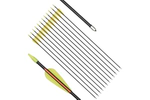 WANGQIN ARCHERY Archery Practice Fiberglass Arrows 24/26/28/30 Inch Target Shooting Safetyglass Recurve Bows Suitable for Youth Children Woman Beginner 6/12PCS