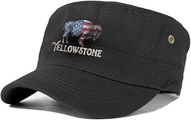 yellowstone distressed hat