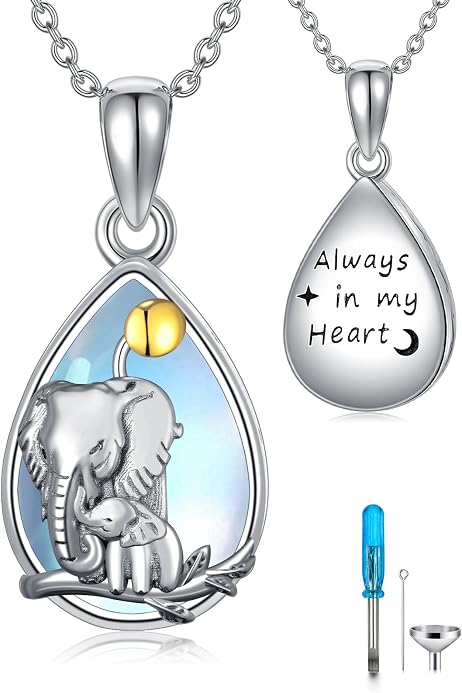 Collar de Urna Conmemorativa para Cenizas - Medallón Colgante en Acero para Hombre y Mujer
