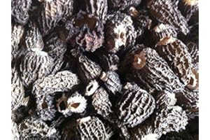 6 Ounce (170 Grams) Dried Morel Mushroom Premium Grade from Yunnan China