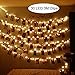 MHtech 30 LED Photo Clips String Lights, 10 Ft LED Clips Lights Warm White Battery Powered Fairy Lights LED for Hanging Photos Pictures Cards Artwork and Memos (10ft Warm White)