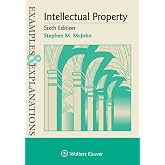 Examples &amp; Explanations for Intellectual Property