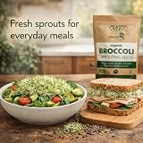 Natures Root Organic Broccoli Sprouting Seeds 250g Non GMO Microgreen view 5
