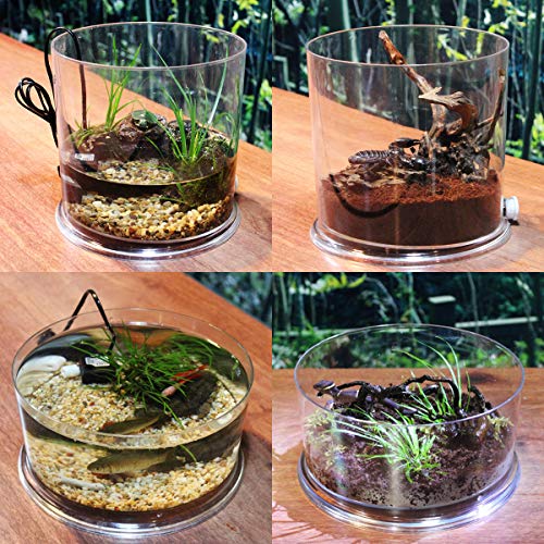 Saim Round Betta Fish Tank, Aquarium 2.5 Gallon Desktop Breeding Tank