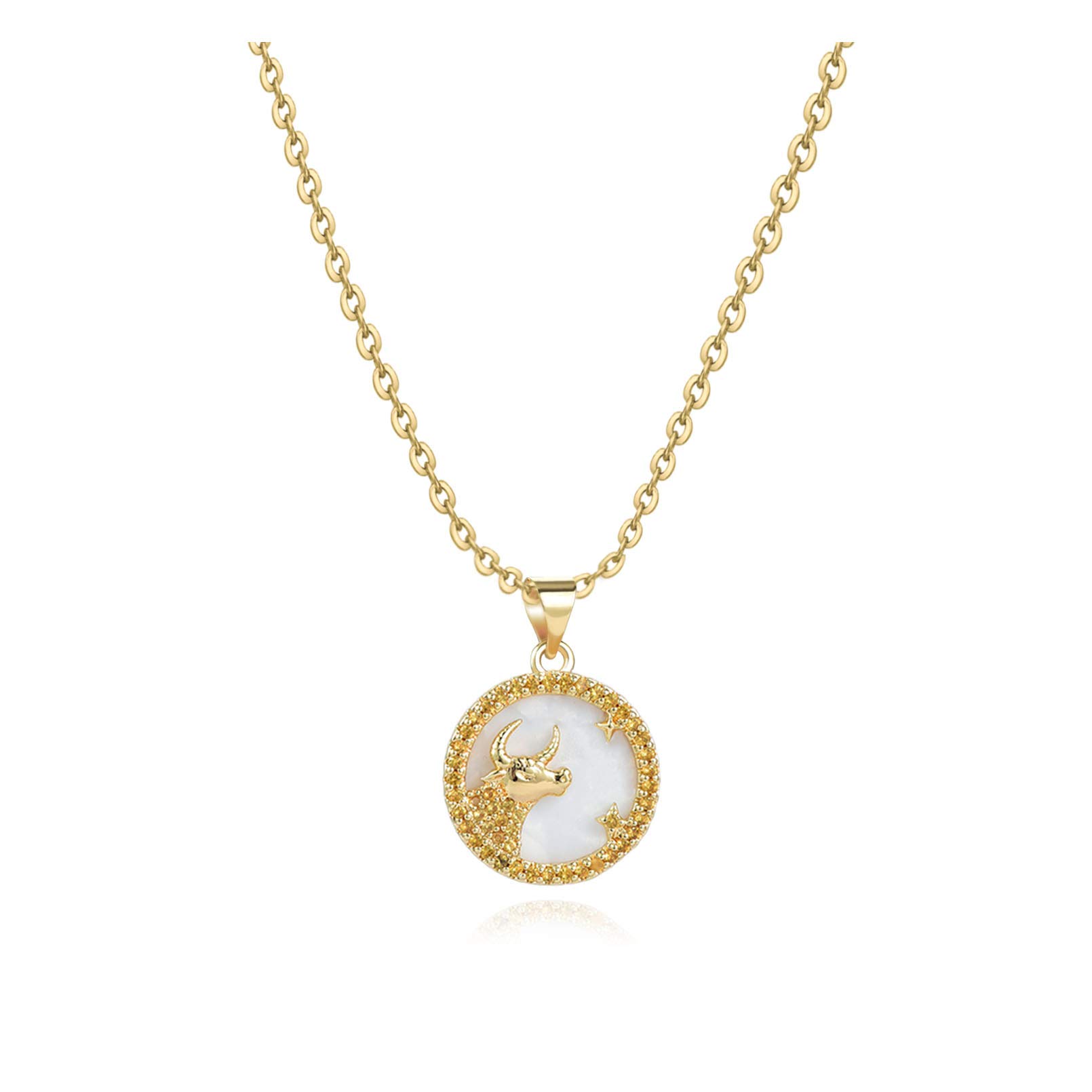 SBI Jewelry Birthday Taurus Necklace for Women Men Gold Zodiac Women's Personalised Necklaces for Women Birthstone Anniversary Pendants