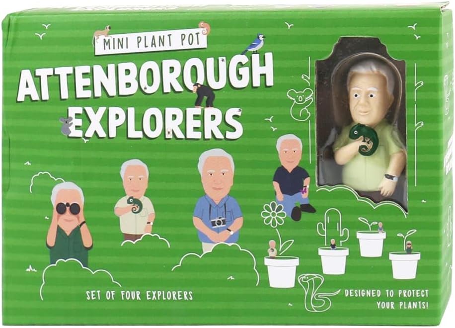 Gift Republic Attenborough Explorers Plant Markers Green 9.5x14.5x3.5 cm