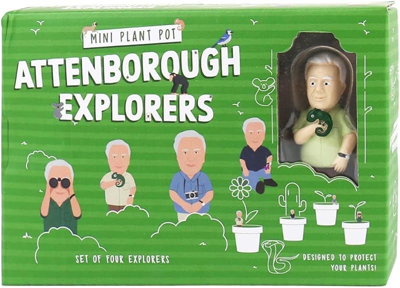 Gift Republic Attenborough Explorers Plant Markers Green 9.5x14.5x3.5 cm