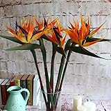 Warmter 32.5 Inch Large Elegant Bird of Paradise