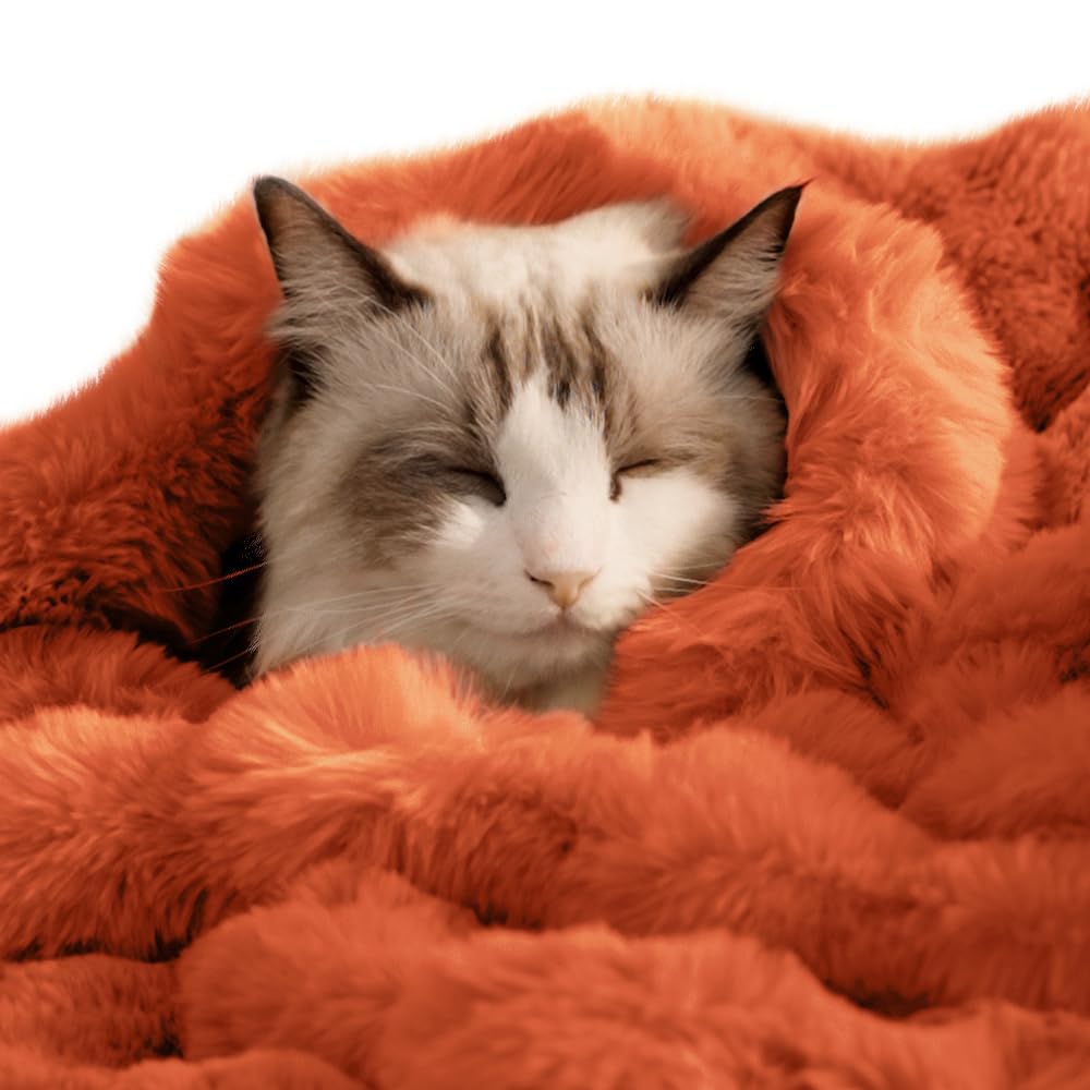 Photo 1 of SOMAHE Self-Warming Cat Blanket for Indoor Cats & Small Dogs, Dual-Side Sherpa Plush Throw, Anti-Static Shared Couch Mat for Crate & Travel, Machine Washable No Shrink, 28x22 Inch Orange