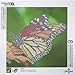 Leisure Arts - Diamond Art Sparkle Art Diamond Paint by Number Monarch Butterfly Kit – 5D Pixel Painting DIY Arts and Crafts for Kids Canvas Wall Decor