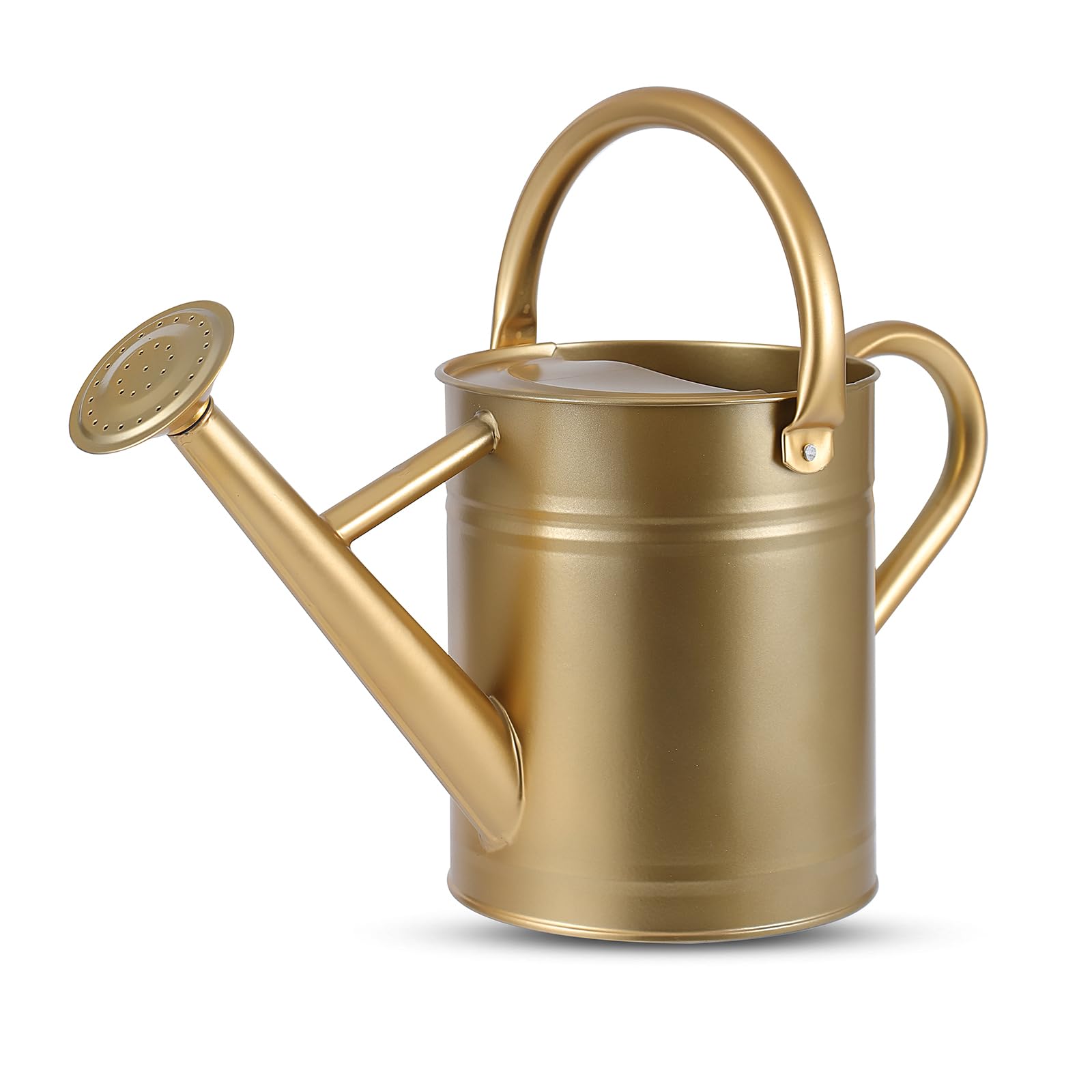 Photo 1 of 1 Gallon Watering Can for Plants, Watering Cans for Indoor&Outdoor Gardening, Galvanized Steel Watering Pot with Removable Spout, Metal Water Can with Ergonomic Movable Handle(Gold)