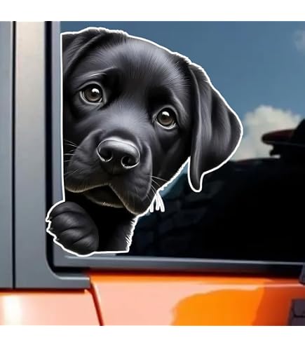 Autocollant Voiture Labrador Retriever Noir - Vinyle 3D Résistant, Imperméable - Déco Voiture, Bureau