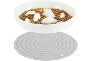 PETTOM Ceramic Slow Feeder Bowl for Cats and Dogs, Non-Toxic, Raised Edges, Non-Slip Mat, Easy to Clean