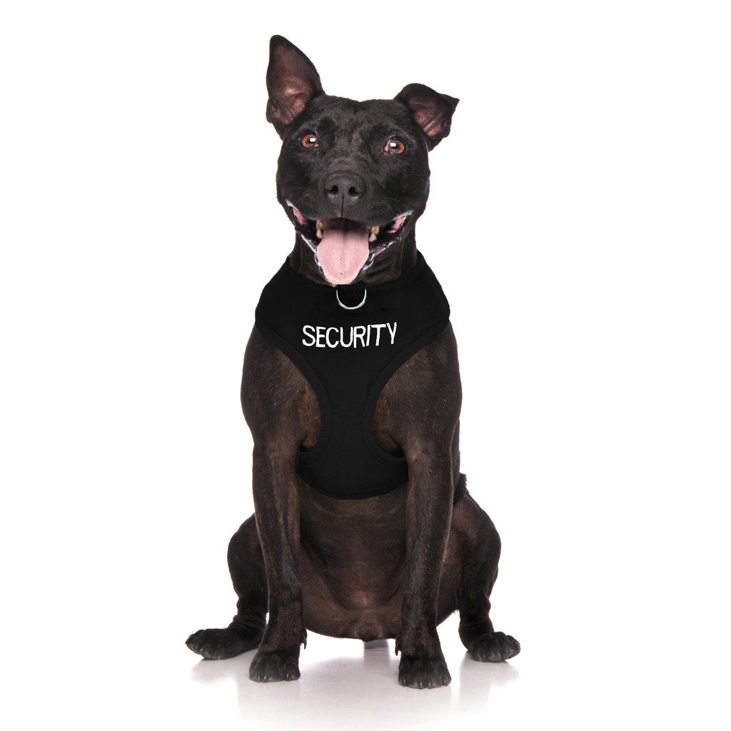 SECURITY Black Colour Coded Non-Pull Front and Back D Ring Padded and Waterproof Vest Dog Harness PREVENTS Accidents By Warning Others Of Your Dog In Advance (L)
