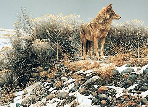 Cobble Hill Coyote in Winter Sage Jigsaw Puzzle, 1000-Piece