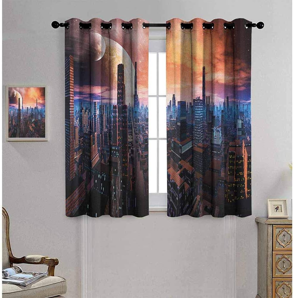Amazon.com: Ahuimin City Blackout Curtains, Futuristic Cityscape on