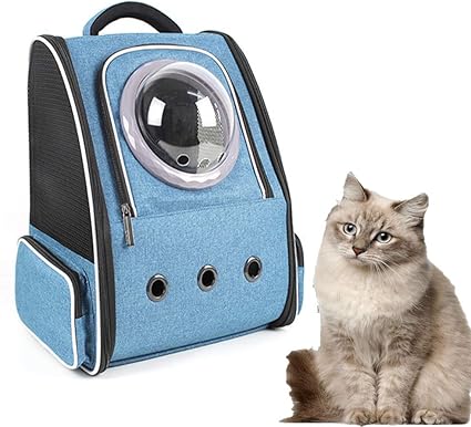 plastic cat backpack