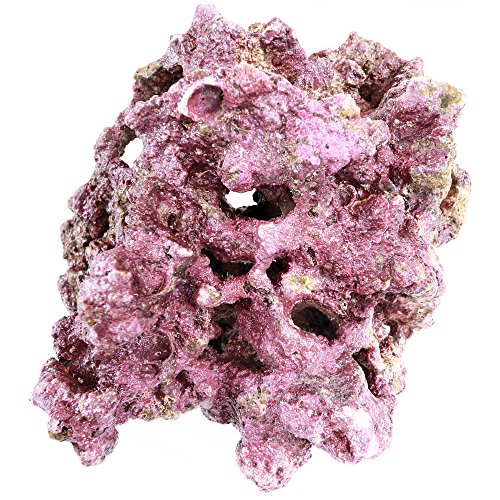 ARC Reef Premium Live Rock for Saltwater Aquariums, 45 lbs. Elite