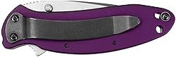 Kershaw Scallion Purple Folding Knife