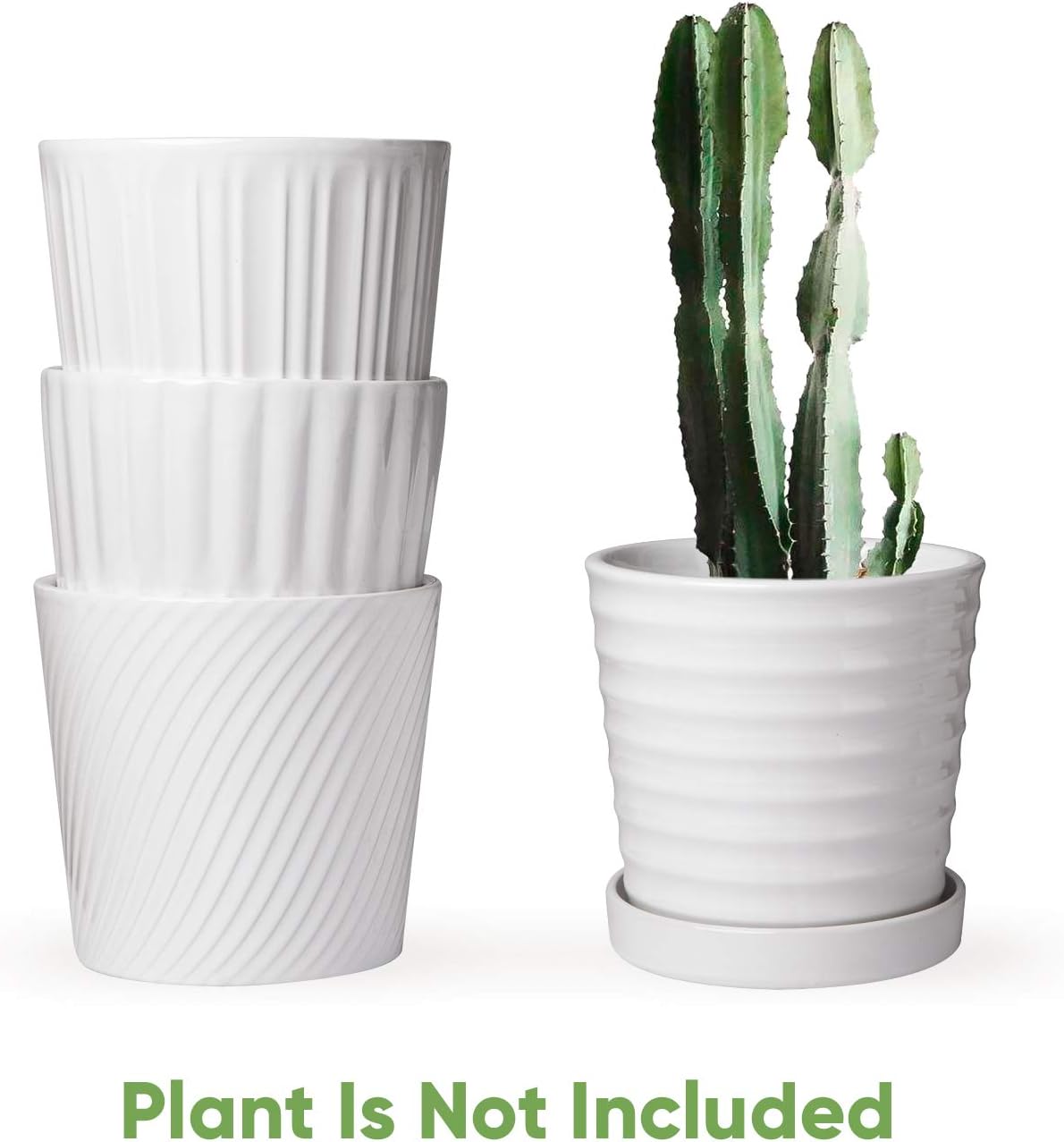 Flower Pots,6 Inch Succulent Pots with Drinage,Indoor Round Planter Pots with Saucer,White Cactus Planters with Hole,Outdoor Graden Pots 4 Pack: Garden & Outdoor