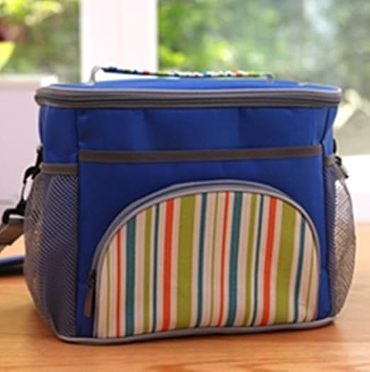 hollwald - Bolsa isotérmica 15L nevera portátil para leche materna ...