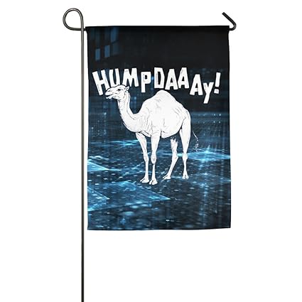 Amazon Com Humpdaaay House Flags Decorative Flags Outdoor