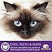 Wellness Complete Health Pate Cat Food Variety Bundle 5 Ounce - 3 Flavors (12 cans)