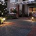 Best Solar Light Outdoor Solar LED Filament-Style Path Weatherproof Metal Light | 10X Brightness | 3000K | 4-Pack