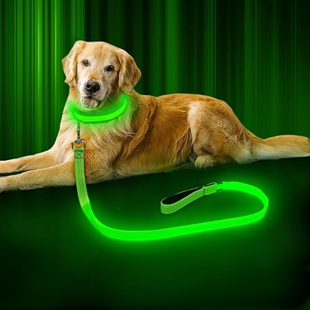 led dog leashes