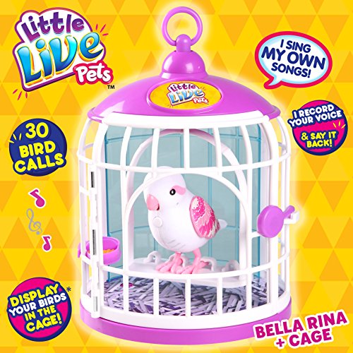 little live pets birds names