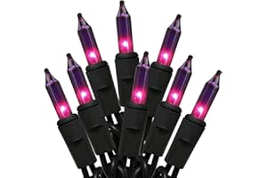 HISHINY Halloween String Lights 100 Count Incandescent Bulb Purple Halloween Lights with Black Wire for Outdoor Indoor Halloween Christmas Garland Party Festival Decor,UL Certified (21feet)
