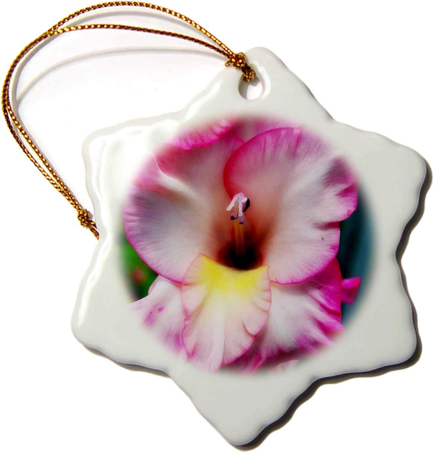 ET Photography - Flowers - A computer enhanced gladiolus with glamour