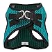 Voyager Step-in Air Dog Harness - All Weather Mesh, Reflective, No Pull Harness for Small, Medium Dogs, Cats - Secure with Hook & Loop Fastener, Buckle, Double D-Rings - Turquoise 2-Tone, M