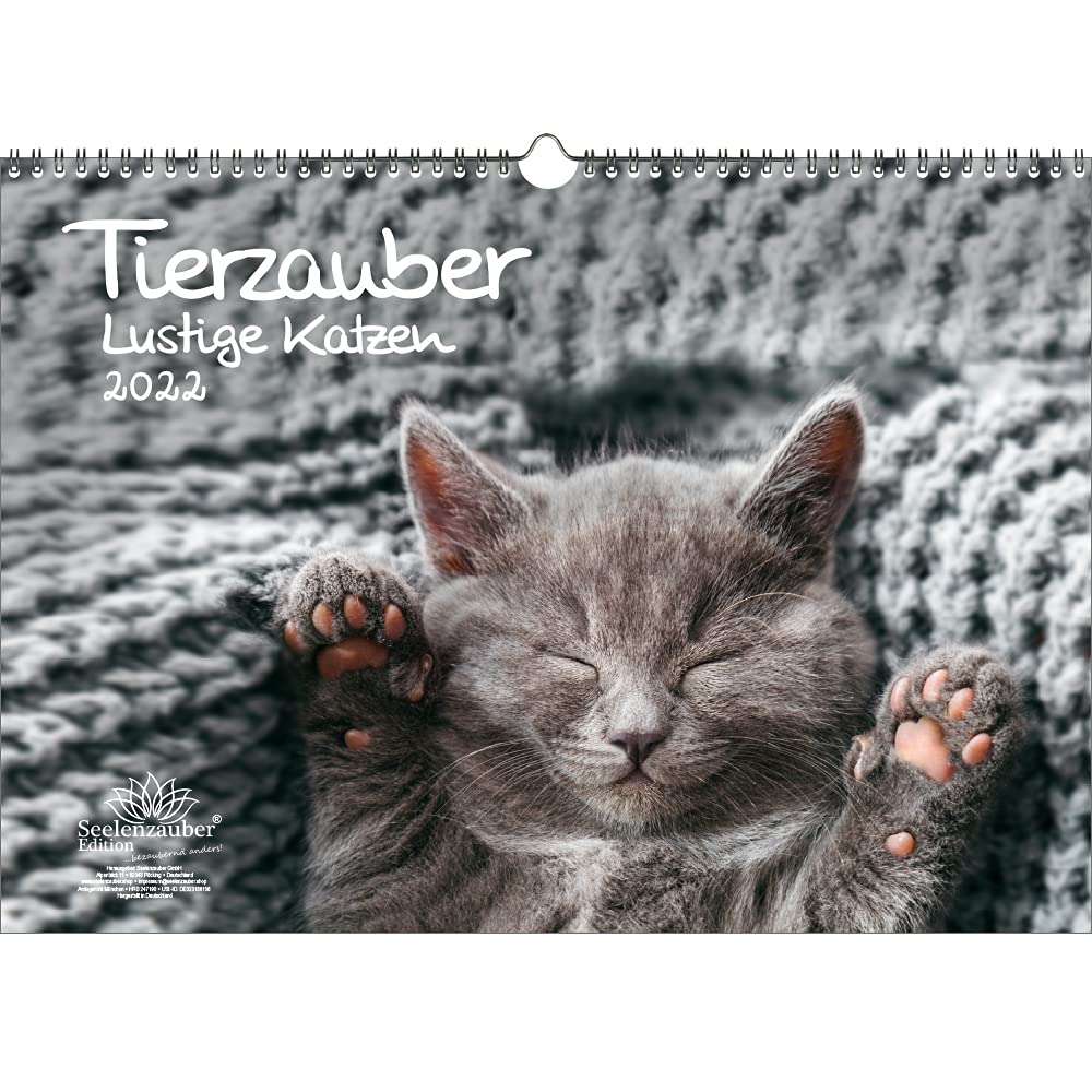 Animal Magic Funny Cats DIN A3 Calendar for 2022 Funny Cats Seelenzauber