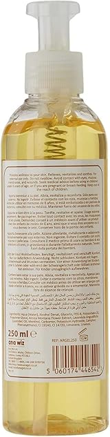 ANAGEL Arnica Gel 250ml with Lavender Non Sticky Easily Absorbed view 2
