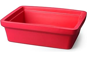 Genesee Scientific - Large Ice Cube Container for Freezer - Ice Holder - Stackable, Lightweight, and Leak-Proof Ice Cube Storage - Insulated with EVA Material - 9 Liters - Red