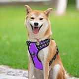 PoyPet No Pull Dog Harness Reflective Vest with 2 Attachments Purple L view 2