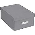 Bigso Box of Sweden Karin Collapsible Storage Box with Labelframe for Easy Identification | Simple Assembly without Tools | Decorative Storage Boxes with Lids | 8.9" x 12.4" x 5.4" | Gray