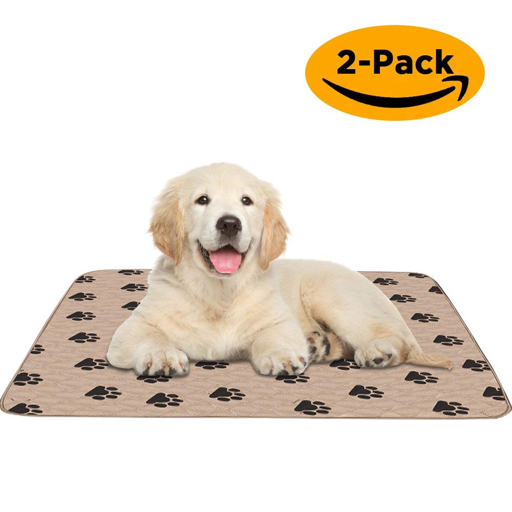 puppy pee mats