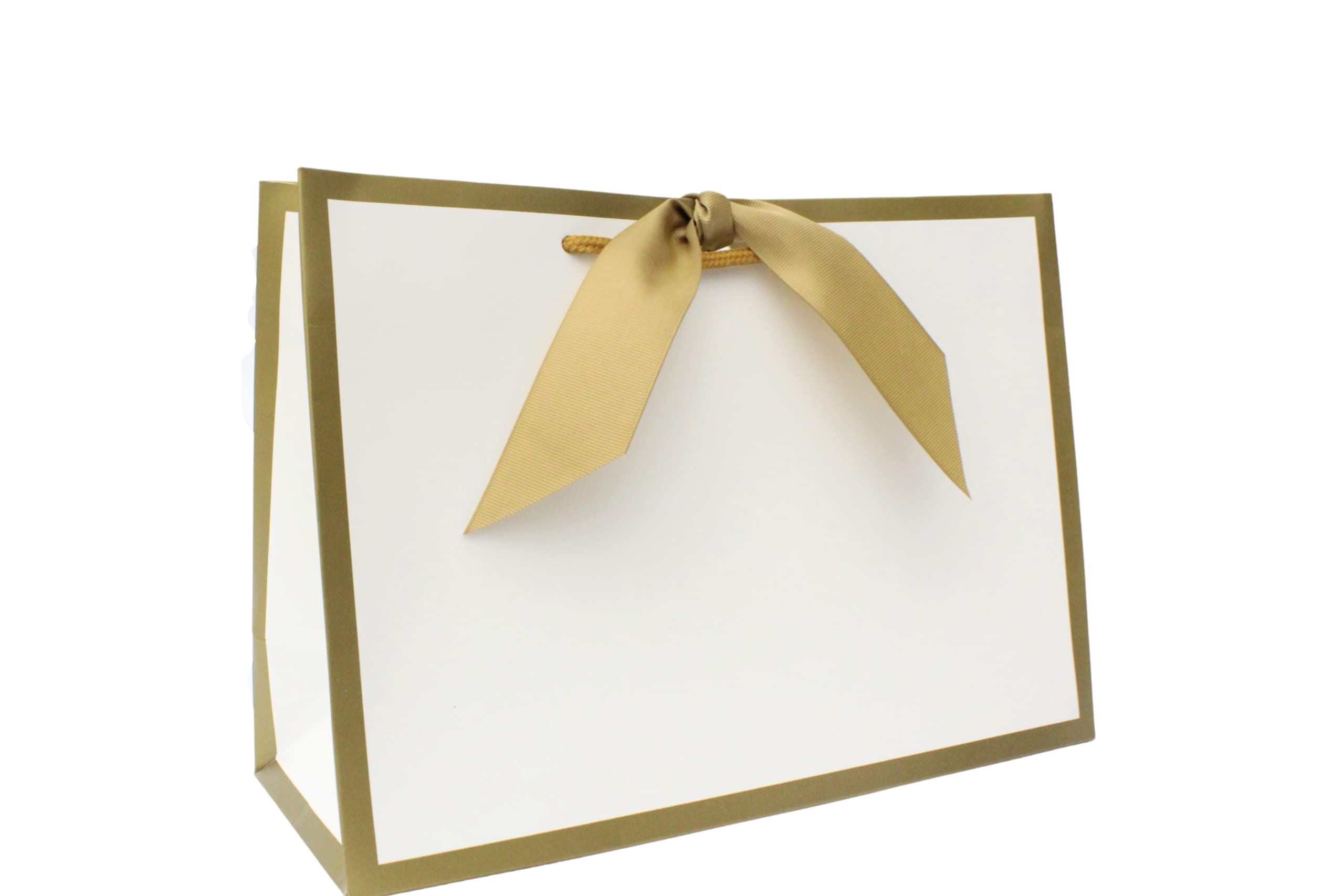 Nu-Nuel Luxury Paper Bag | Matt Laminated Gift Bags with Rope Handles | 5 Medium Gift Bags for Birthday, Wedding, Baby Showers, Bridal Party, Christmas (5, MEDIUM - 310x220x120mm)