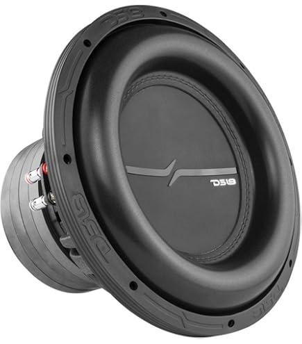 Amazon.com: DS18 Audio ZXI12.4D 12