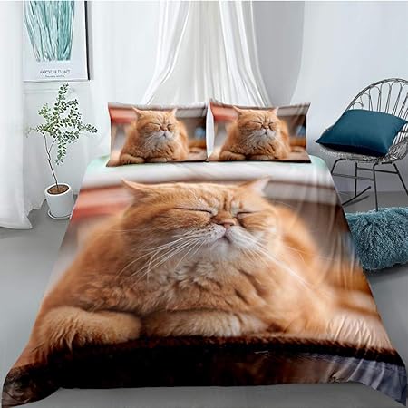 Artezxx Parure De Lit Chat Sieste 3 Pieces Housse De Couette Microfibre Confortable Ensemble De Literie 2 Xtaies D Oreiller Pour Les Enfants Adultes 180 X 0 Cm Amazon Fr Cuisine Maison
