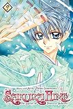 Sakura Hime: The Legend of Princess Sakura , Vol. 9 (SAKURA HIME KADEN)