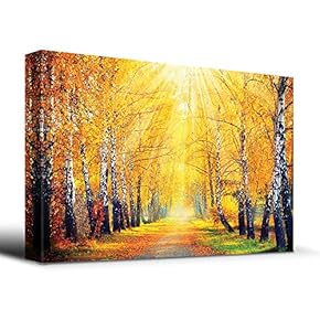 Sunny Autumn Day Trees line a Path - Canvas Art Home Art - 12x18 inches