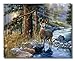 Whitetail Deer Buck & Doe at Forest Stream Wildlife Landscape Art Print 8x10