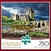 Buffalo Games - Majestic Castles - Eilean Donan - 750 Piece Jigsaw Puzzle Gray, Green,yellow, 24